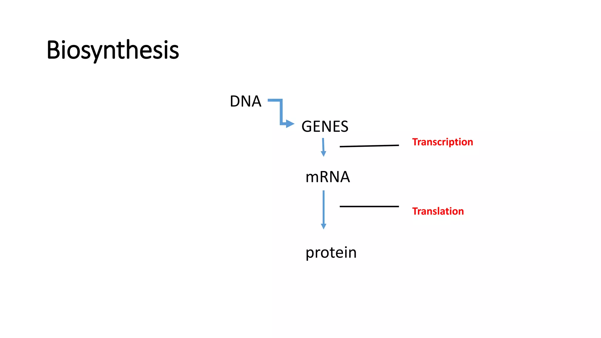 Biosynthesis
DNA
GENES
mRNA
protein
Transcription
Translation
 