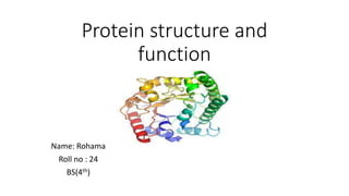 Protein structure and
function
Name: Rohama
Roll no : 24
BS(4th)
 