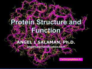 Protein Structure andProtein Structure and
FunctionFunction
ANGEL L SALAMAN, Ph.D.ANGEL L SALAMAN, Ph.D.
angelsalaman@yahoo.comangelsalaman@yahoo.com
 