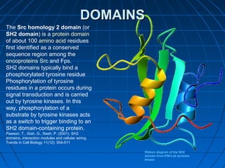 Protein Structure and Function | PPT