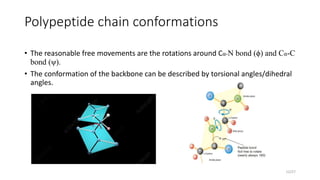 Polypeptide chain conformations
• The reasonable free movements are the rotations around Cα-N bond (ϕ) and Cα-C
bond (ψ).
• The conformation of the backbone can be described by torsional angles/dihedral
angles.
12/27
 