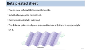 Beta pleated sheet
• Two or more polypeptide line up side by side.
• Individual polypeptide- beta strand.
• Each beta strand is fully extended.
• The distance between adjacent amino acids along a β strand is approximately
3.5 Å.
15/27
 