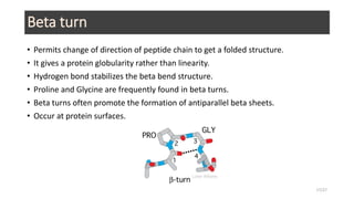 Beta turn
• Permits change of direction of peptide chain to get a folded structure.
• It gives a protein globularity rather than linearity.
• Hydrogen bond stabilizes the beta bend structure.
• Proline and Glycine are frequently found in beta turns.
• Beta turns often promote the formation of antiparallel beta sheets.
• Occur at protein surfaces.
17/27
 