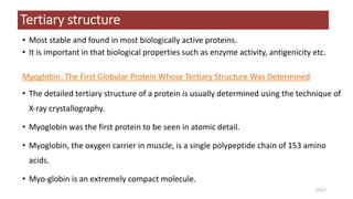 Tertiary structure
• Most stable and found in most biologically active proteins.
• It is important in that biological properties such as enzyme activity, antigenicity etc.
Myoglobin: The First Globular Protein Whose Tertiary Structure Was Determined
• The detailed tertiary structure of a protein is usually determined using the technique of
X‐ray crystallography.
• Myoglobin was the first protein to be seen in atomic detail.
• Myoglobin, the oxygen carrier in muscle, is a single polypeptide chain of 153 amino
acids.
• Myo-globin is an extremely compact molecule.
19/27
 