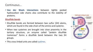 Continuous…
• Van der Waals interactions between tightly packed
hydrocarbon side chains also contribute to the stability of
proteins.
Disulfide bonds
• Disulfide bonds are formed between two sulfur (SH) atoms,
which are found in the side-chain of the amino acid cysteine.
• When two cysteines are brought into close proximity in the
tertiary structure, an enzyme called “protein disulfide
isomerase” forms a disulfide bond between the two SH
groups.
• This cross linked units are called cystines.
22/27
 