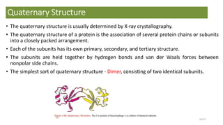 Quaternary Structure
• The quaternary structure is usually determined by X-ray crystallography.
• The quaternary structure of a protein is the association of several protein chains or subunits
into a closely packed arrangement.
• Each of the subunits has its own primary, secondary, and tertiary structure.
• The subunits are held together by hydrogen bonds and van der Waals forces between
nonpolar side chains.
• The simplest sort of quaternary structure - Dimer, consisting of two identical subunits.
24/27
 
