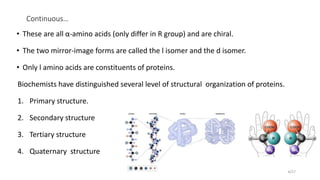 Continuous…
• These are all α-amino acids (only differ in R group) and are chiral.
• The two mirror-image forms are called the l isomer and the d isomer.
• Only l amino acids are constituents of proteins.
Biochemists have distinguished several level of structural organization of proteins.
1. Primary structure.
2. Secondary structure
3. Tertiary structure
4. Quaternary structure
4/27
 