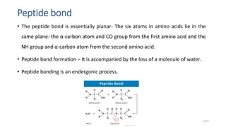 Peptide bond
• The peptide bond is essentially planar- The six atoms in amino acids lie in the
same plane: the α-carbon atom and CO group from the first amino acid and the
NH group and α-carbon atom from the second amino acid.
• Peptide bond formation – It is accompanied by the loss of a molecule of water.
• Peptide bonding is an endergonic process.
5/27
 