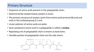 Primary Structure
• Sequence of amino acids present in the polypeptide chain.
• Determined by covalent bond, protein is linear.
• The primary structure of protein starts from amino acid terminal (N) end and
ends in the carboxyl group (C ) end.
• Linear polymer of amino acids are polar.
• Each component amino acid in a polypeptide is called a residue.
• Repeating unit of polypeptide chain is known as back bone.
• Variable portion of polypeptide chain are the side chains.
6/27
 