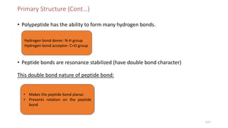 Primary Structure (Cont…)
• Polypeptide has the ability to form many hydrogen bonds.
• Peptide bonds are resonance stabilized (have double bond character)
This double bond nature of peptide bond:
Hydrogen bond doner: N-H group
Hydrogen bond acceptor: C=O group
• Makes the peptide bond planar.
• Prevents rotation on the peptide
bond
7/27
 