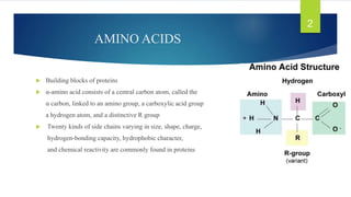 AMINO ACIDS
 Building blocks of proteins
 α-amino acid consists of a central carbon atom, called the
α carbon, linked to an amino group, a carboxylic acid group
a hydrogen atom, and a distinctive R group
 Twenty kinds of side chains varying in size, shape, charge,
hydrogen-bonding capacity, hydrophobic character,
and chemical reactivity are commonly found in proteins
2
 