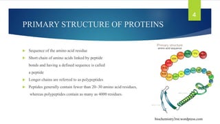 PRIMARY STRUCTURE OF PROTEINS
 Sequence of the amino acid residue
 Short chain of amino acids linked by peptide
bonds and having a defined sequence is called
a peptide
 Longer chains are referred to as polypeptides
 Peptides generally contain fewer than 20–30 amino acid residues,
whereas polypeptides contain as many as 4000 residues.
biochemistry3rst.wordpress.com
4
 