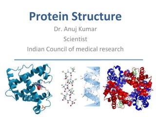 Protein Structure
Dr. Anuj Kumar
Scientist
Indian Council of medical research
 