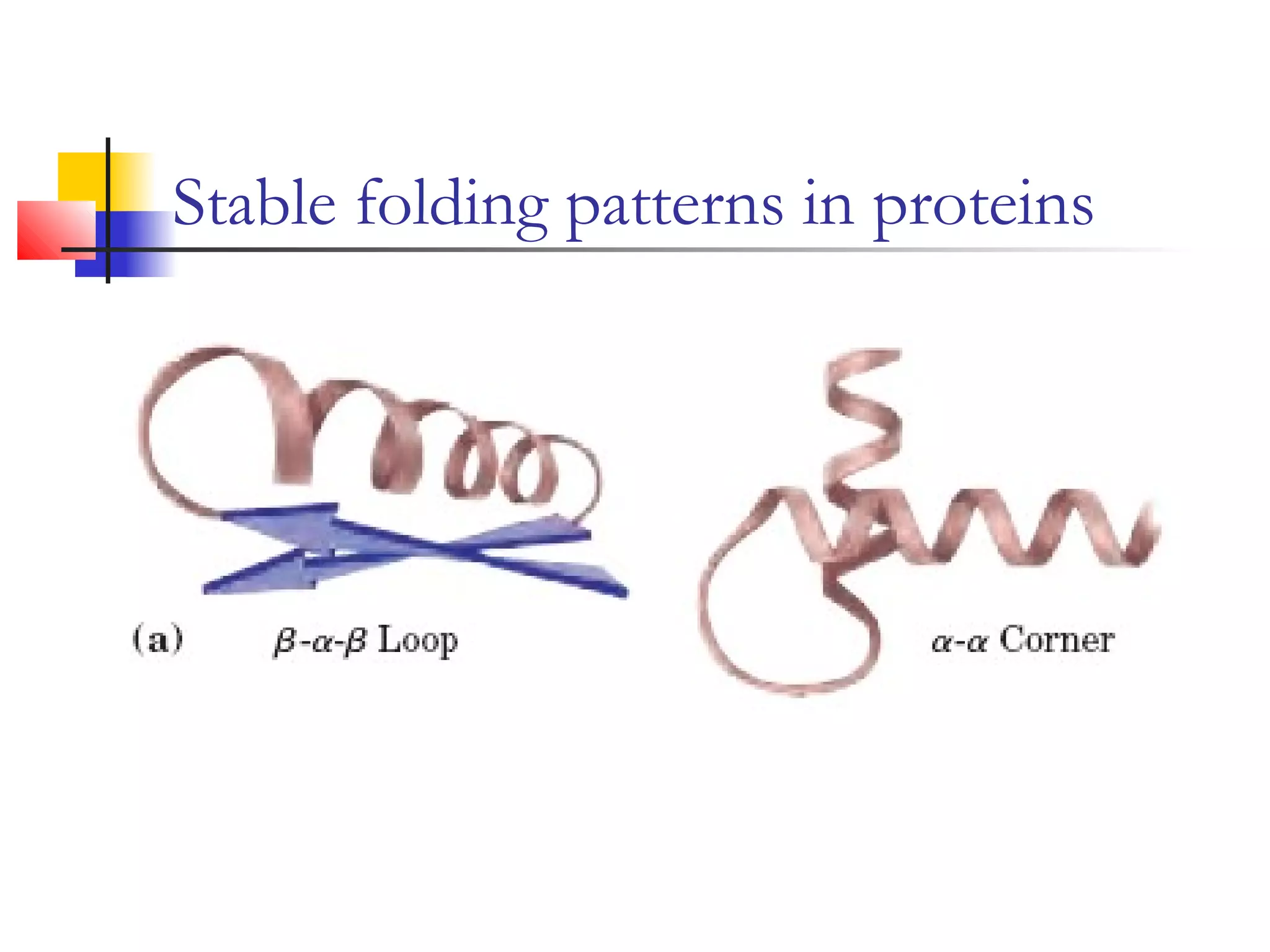 Stable folding patterns in proteins
 