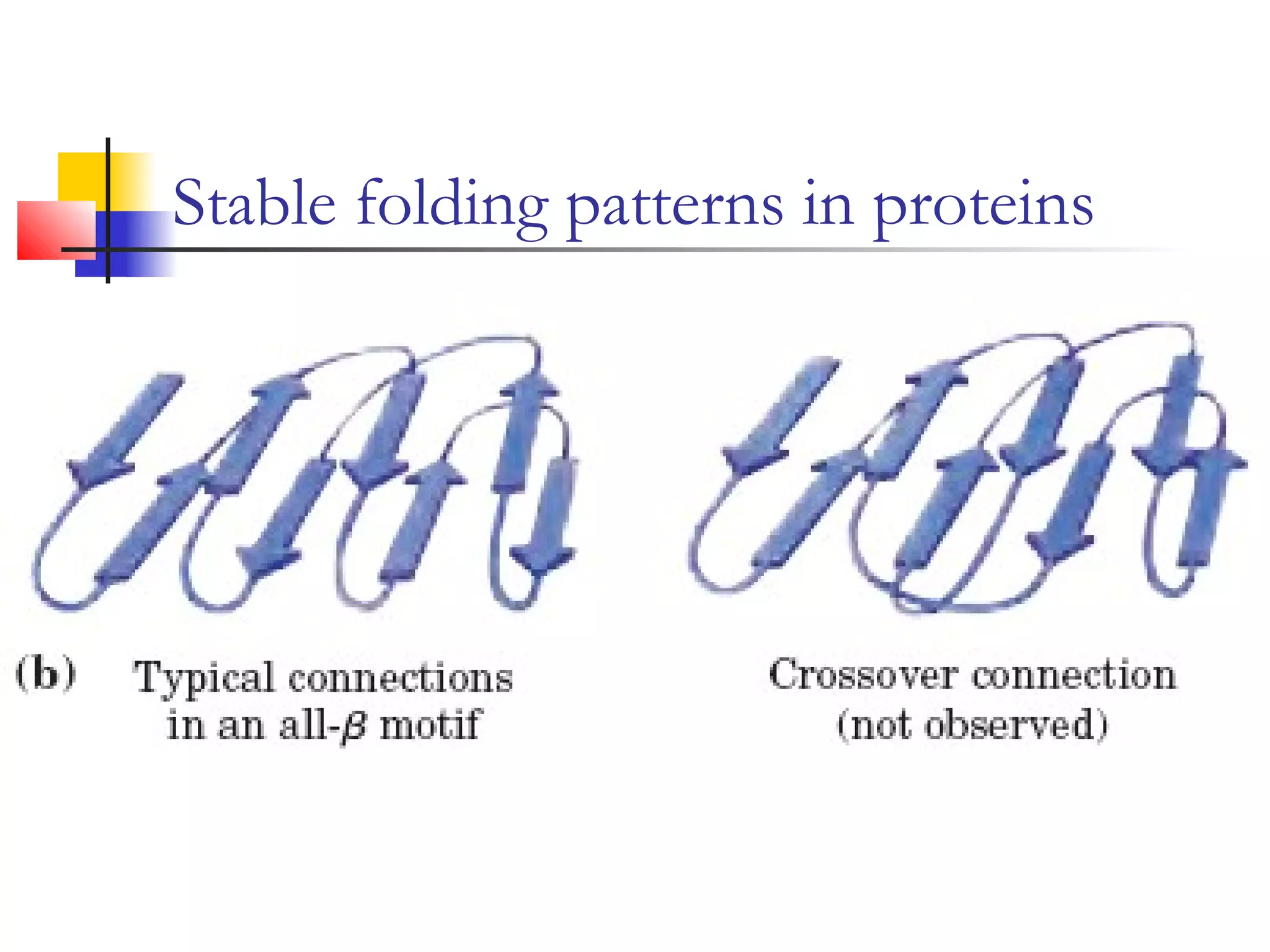 Stable folding patterns in proteins
 