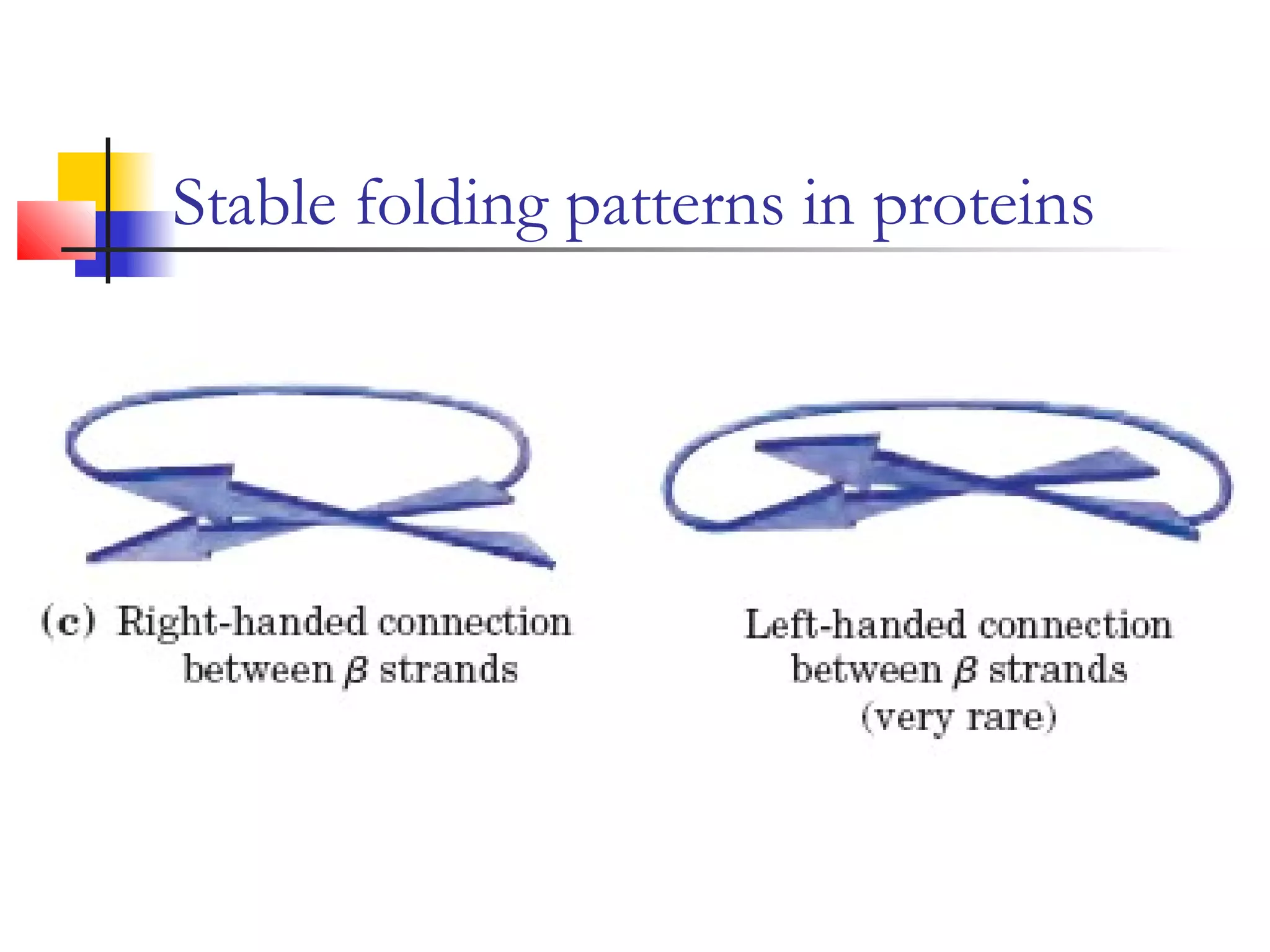 Stable folding patterns in proteins
 