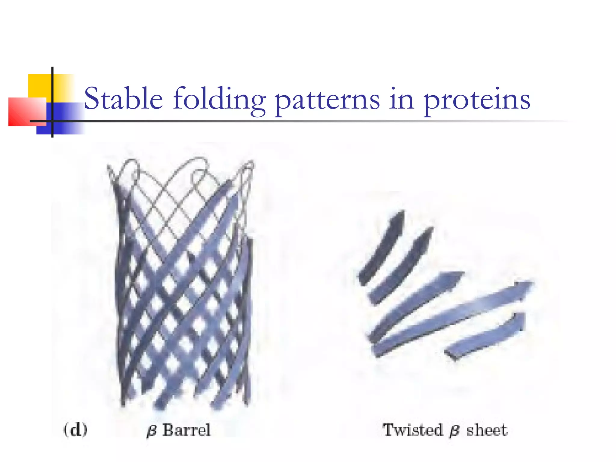 Stable folding patterns in proteins
 