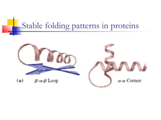 Stable folding patterns in proteins
 