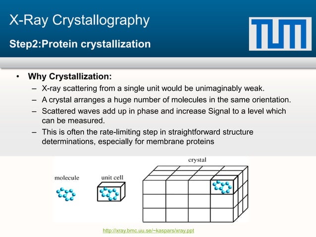 Protein Structure Determination | PPTX | Chemistry | Science