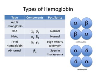 Hba Structure Protein structure | PDF