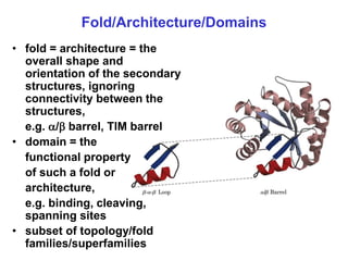 protein structure from genomic and computational biology | PPT