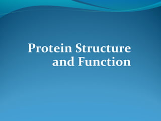 Protein Structure
and Function
 