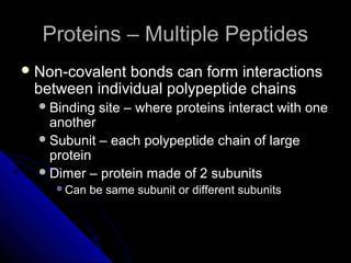 Proteins – Multiple PeptidesProteins – Multiple Peptides
 Non-covalent bonds can form interactionsNon-covalent bonds can form interactions
between individual polypeptide chainsbetween individual polypeptide chains
Binding site – where proteins interact with oneBinding site – where proteins interact with one
anotheranother
Subunit – each polypeptide chain of largeSubunit – each polypeptide chain of large
proteinprotein
Dimer – protein made of 2 subunitsDimer – protein made of 2 subunits
Can be same subunit or different subunitsCan be same subunit or different subunits
 