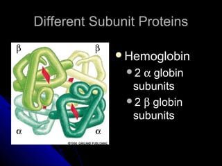 Different Subunit ProteinsDifferent Subunit Proteins
HemoglobinHemoglobin
22 αα globinglobin
subunitssubunits
22 ββ globinglobin
subunitssubunits
 