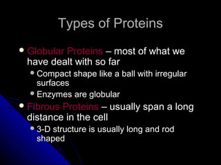 Types of ProteinsTypes of Proteins
 Globular ProteinsGlobular Proteins – most of what we– most of what we
have dealt with so farhave dealt with so far
Compact shape like a ball with irregularCompact shape like a ball with irregular
surfacessurfaces
Enzymes are globularEnzymes are globular
 Fibrous ProteinsFibrous Proteins – usually span a long– usually span a long
distance in the celldistance in the cell
3-D structure is usually long and rod3-D structure is usually long and rod
shapedshaped
 