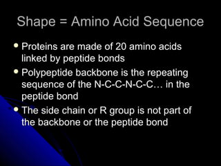 Shape = Amino Acid SequenceShape = Amino Acid Sequence
 Proteins are made of 20 amino acidsProteins are made of 20 amino acids
linked by peptide bondslinked by peptide bonds
 Polypeptide backbone is the repeatingPolypeptide backbone is the repeating
sequence of the N-C-C-N-C-C… in thesequence of the N-C-C-N-C-C… in the
peptide bondpeptide bond
 The side chain or R group is not part ofThe side chain or R group is not part of
the backbone or the peptide bondthe backbone or the peptide bond
 