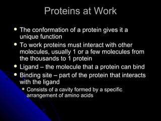 Proteins at WorkProteins at Work
 The conformation of a protein gives it aThe conformation of a protein gives it a
unique functionunique function
 To work proteins must interact with otherTo work proteins must interact with other
molecules, usually 1 or a few molecules frommolecules, usually 1 or a few molecules from
the thousands to 1 proteinthe thousands to 1 protein
 Ligand – the molecule that a protein can bindLigand – the molecule that a protein can bind
 Binding site – part of the protein that interactsBinding site – part of the protein that interacts
with the ligandwith the ligand
 Consists of a cavity formed by a specificConsists of a cavity formed by a specific
arrangement of amino acidsarrangement of amino acids
 