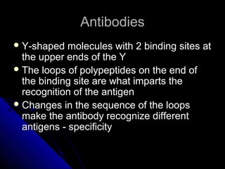 AntibodiesAntibodies
 Y-shaped molecules with 2 binding sites atY-shaped molecules with 2 binding sites at
the upper ends of the Ythe upper ends of the Y
 The loops of polypeptides on the end ofThe loops of polypeptides on the end of
the binding site are what imparts thethe binding site are what imparts the
recognition of the antigenrecognition of the antigen
 Changes in the sequence of the loopsChanges in the sequence of the loops
make the antibody recognize differentmake the antibody recognize different
antigens - specificityantigens - specificity
 