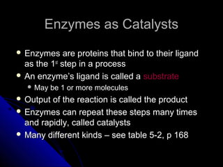 Enzymes as CatalystsEnzymes as Catalysts
 Enzymes are proteins that bind to their ligandEnzymes are proteins that bind to their ligand
as the 1as the 1stst
step in a processstep in a process
 An enzyme’s ligand is called aAn enzyme’s ligand is called a substratesubstrate
 May be 1 or more moleculesMay be 1 or more molecules
 Output of the reaction is called the productOutput of the reaction is called the product
 Enzymes can repeat these steps many timesEnzymes can repeat these steps many times
and rapidly, called catalystsand rapidly, called catalysts
 Many different kinds – see table 5-2, p 168Many different kinds – see table 5-2, p 168
 