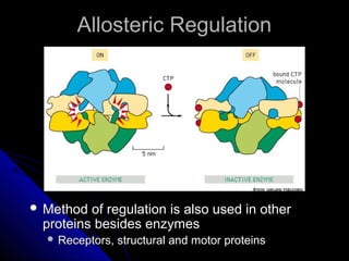 Allosteric RegulationAllosteric Regulation
 Method of regulation is also used in otherMethod of regulation is also used in other
proteins besides enzymesproteins besides enzymes
 Receptors, structural and motor proteinsReceptors, structural and motor proteins
 