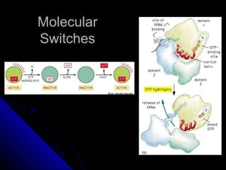MolecularMolecular
SwitchesSwitches
 