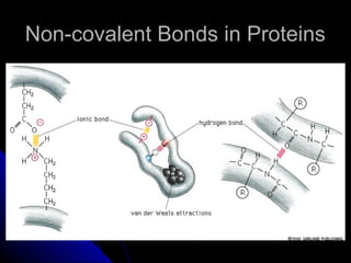 Non-covalent Bonds in ProteinsNon-covalent Bonds in Proteins
 