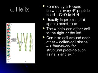 Comprehensive Overview of Protein Structure, Function, and Folding ...