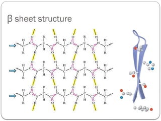 Protein structure, levels of protein structure,.pptx