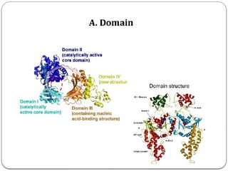 Protein structure, levels of protein structure,.pptx