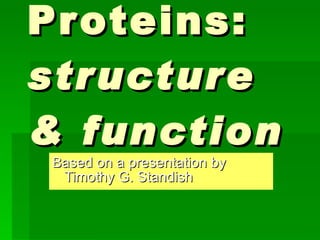 Proteins:  structure & function Based on a presentation by Timothy G. Standish 