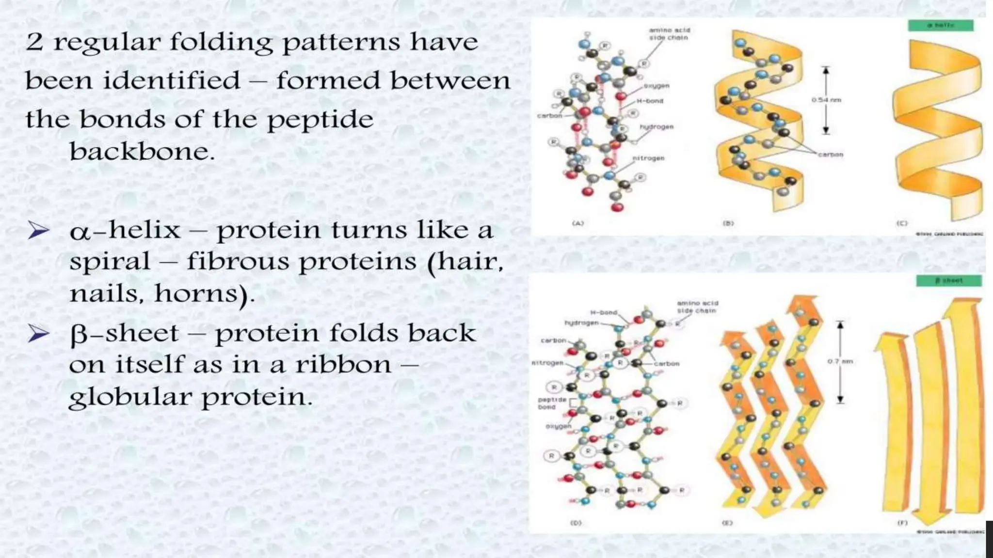 Protein structure & protein structure validation ppt | PPTX