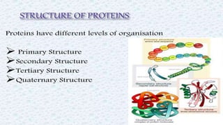 Protein structure & protein structure validation ppt