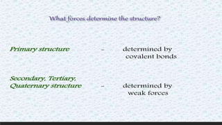 Protein structure & protein structure validation ppt