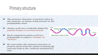 Protein structure & protein structure validation ppt