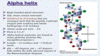 Protein structure & protein structure validation ppt