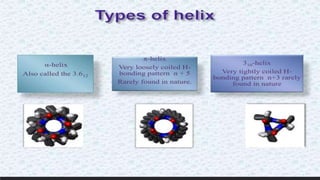 Protein structure & protein structure validation ppt