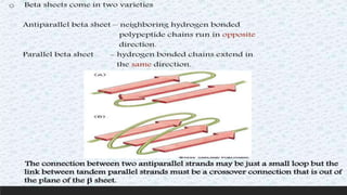 Protein structure & protein structure validation ppt