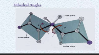 Protein structure & protein structure validation ppt