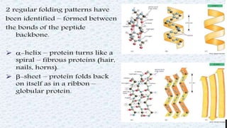Protein structure & protein structure validation ppt