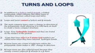 Protein structure & protein structure validation ppt